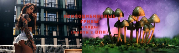 молекула духа Баксан