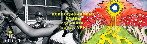 молекула духа Баксан