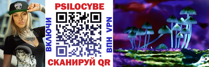 закладки  Мариинский Посад  Галлюциногенные грибы Cubensis 